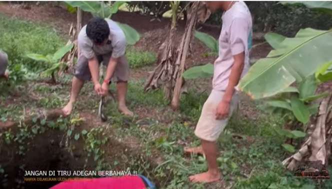 Potret Panji Petualang dan Tim Nekat Rescue Ular Kobra Yang Terjebak Dalam Sumur, Penampakannya Bikin Merinding!