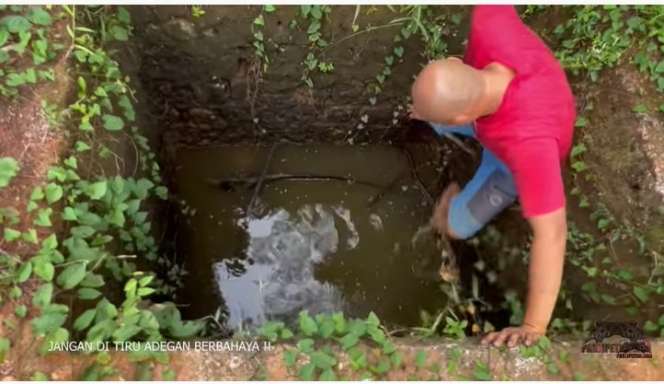 Potret Panji Petualang dan Tim Nekat Rescue Ular Kobra Yang Terjebak Dalam Sumur, Penampakannya Bikin Merinding!