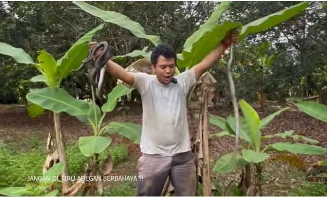 Potret Panji Petualang dan Tim Nekat Rescue Ular Kobra Yang Terjebak Dalam Sumur, Penampakannya Bikin Merinding!