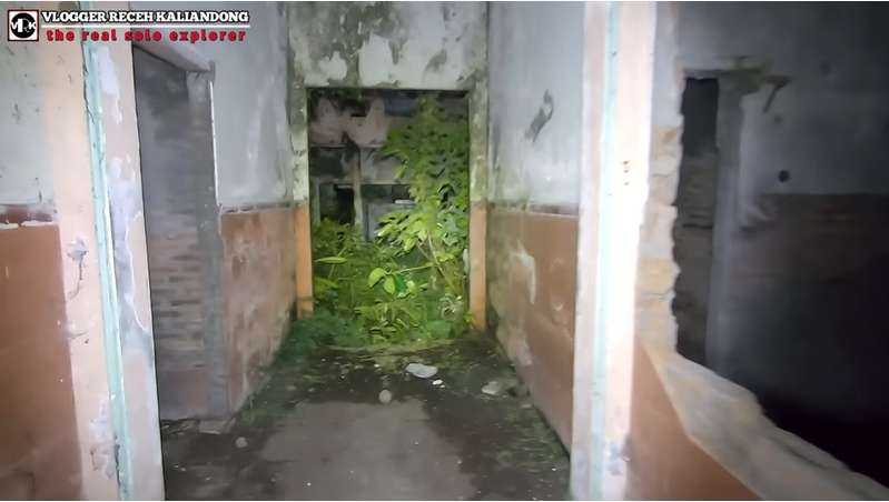 10 Potret Hotel Terbengkalai Puluhan Tahun, Bekas Perjanjian Nyi Blorong, Kini Jadi Kerajaan Ular!