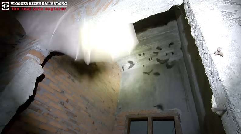 10 Potret Hotel Terbengkalai Puluhan Tahun, Bekas Perjanjian Nyi Blorong, Kini Jadi Kerajaan Ular!