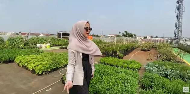 10 Potret Rumah Wirda Mansur yang Dicap Halu Oleh Netizen, Mewah Banyak Kandang Ayam 