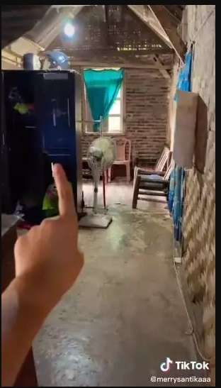 Potret Rumah Sederhana Dari Anyaman Bambu, Pemiliknya Tak Malu Lakukan House Tour!