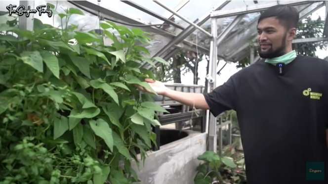 Potret Rumah Mewah Milik Mark Sungkar, Ada Green House Super Luas!