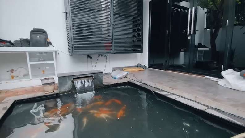 10 Potret Kolam Ikan Nikita Mirzani Sebelum VS Sesudah Renovasi, Kini Airnya Bisa Diminum & Renang!