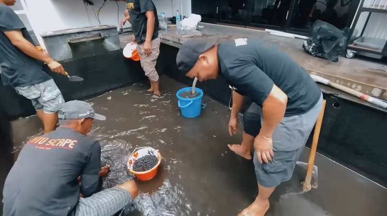 10 Potret Kolam Ikan Nikita Mirzani Sebelum VS Sesudah Renovasi, Kini Airnya Bisa Diminum & Renang!