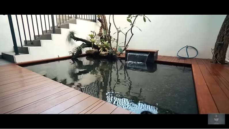 10 Potret Kolam Ikan Nikita Mirzani Sebelum VS Sesudah Renovasi, Kini Airnya Bisa Diminum & Renang!