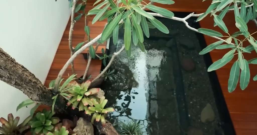 10 Potret Kolam Ikan Nikita Mirzani Sebelum VS Sesudah Renovasi, Kini Airnya Bisa Diminum & Renang!