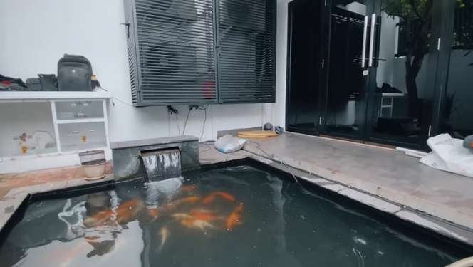 10 Potret Kolam Ikan Nikita Mirzani Sebelum VS Sesudah Renovasi, Kini Airnya Bisa Diminum & Renang!