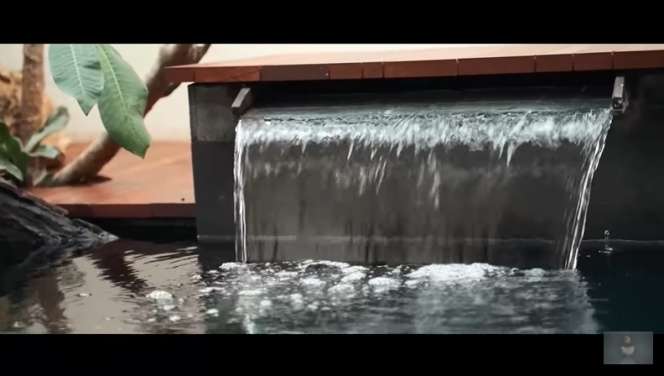 10 Potret Kolam Ikan Nikita Mirzani Sebelum VS Sesudah Renovasi, Kini Airnya Bisa Diminum & Renang!