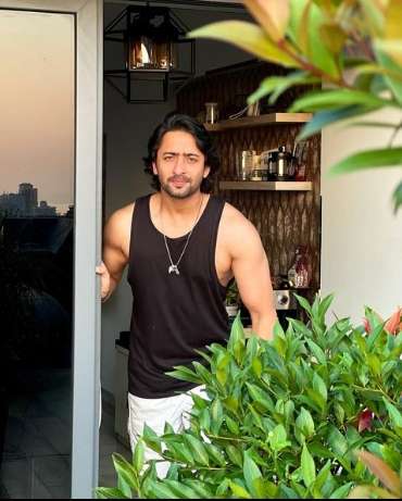 Ingat Shaheer Sheikh, Mantan Pacar Ayu Ting Ting? Istri dan Anak Terjebak Dalam Kebakaran, Begini Kondisinya Sekarang