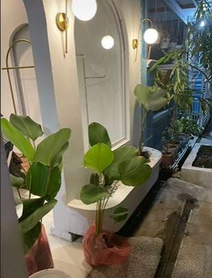 Potret Transformasi Rumah Subsidi Disulap Jadi Banyak Spot Instagramable