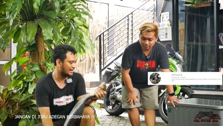 Ular King Kobra Viral Asal Trenggalek yang Tewaskan Pawangnya, Kini Dirawat Panji Petualang, Gede Banget Mirip Garaga!