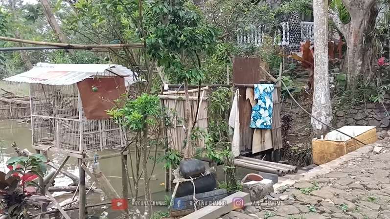 40 Tahun Tersembunyi, Intip 10 Potret Rumah Unik di Tengah Hutan, Bentuknya Bak Kastil!
