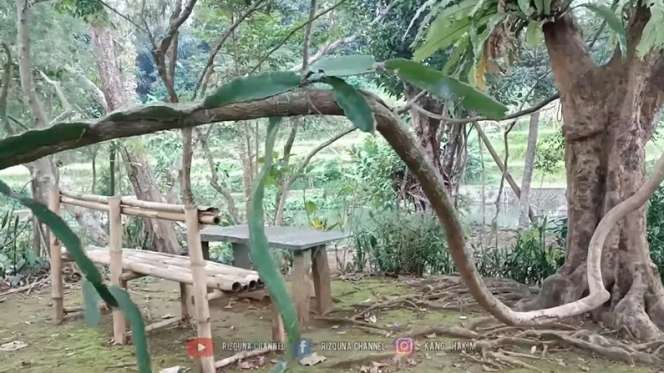 40 Tahun Tersembunyi, Intip 10 Potret Rumah Unik di Tengah Hutan, Bentuknya Bak Kastil!