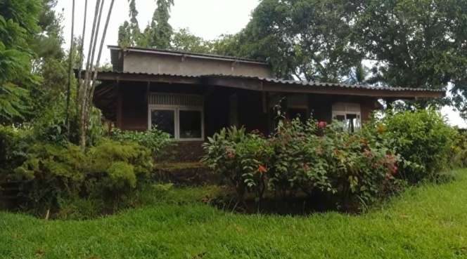 Potret Rumah Mewah Terbangkalai Milik 7 Artis, Penampakannya Bikin Merinding!