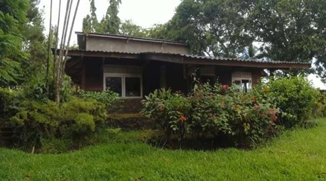Potret Rumah Mewah Terbangkalai Milik 7 Artis, Penampakannya Bikin Merinding!