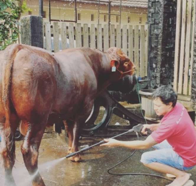 Masih Ingat Hardi Fadhilla? Raja FTV yang Kini jadi Juragan Sapi