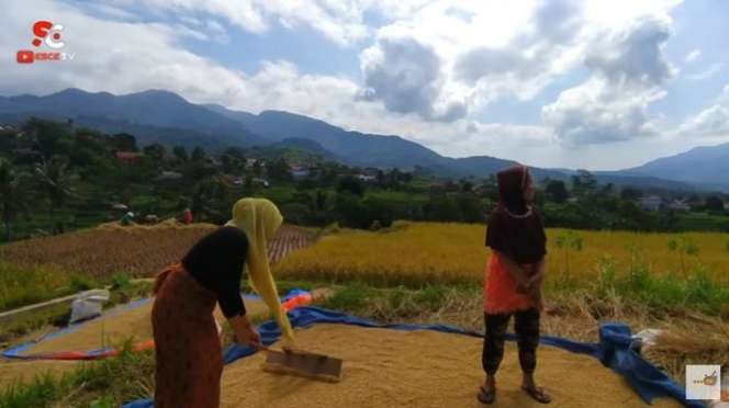 Viral Janda Desa Cantik Bak Bidadari, Disebut Mutiara Tersembunyi di Kampung Terpencil Dikelilingi Gunung