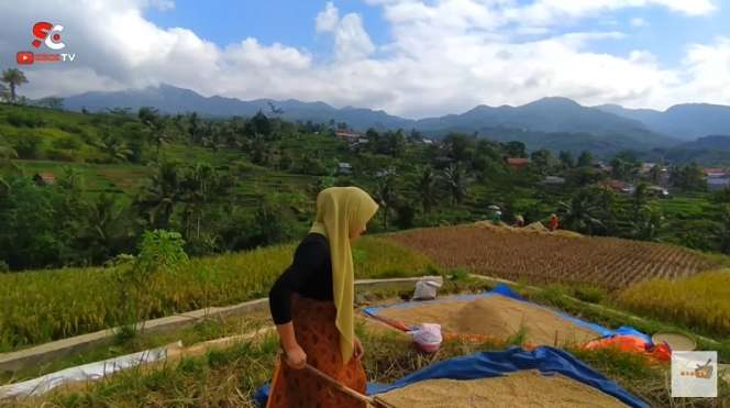 Viral Janda Desa Cantik Bak Bidadari, Disebut Mutiara Tersembunyi di Kampung Terpencil Dikelilingi Gunung