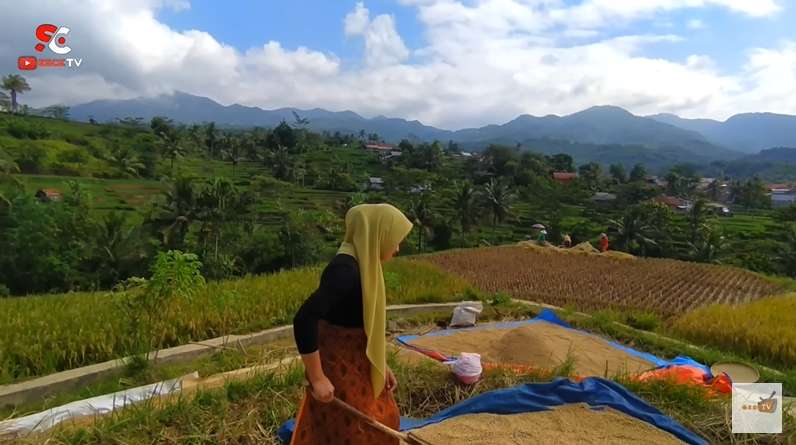 Viral Janda Desa Cantik Bak Bidadari, Disebut Mutiara Tersembunyi di Kampung Terpencil Dikelilingi Gunung