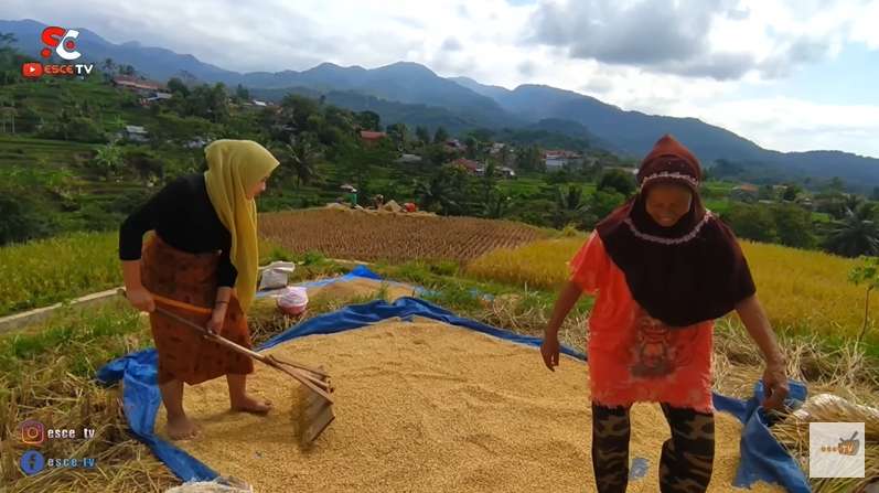 Viral Janda Desa Cantik Bak Bidadari, Disebut Mutiara Tersembunyi di Kampung Terpencil Dikelilingi Gunung