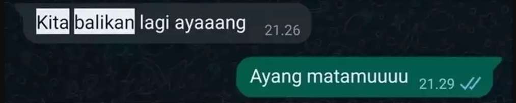 10 Chat WhatsApp Mantan Ajak Balikan, Endingnya Bikin Ngelus Dada!