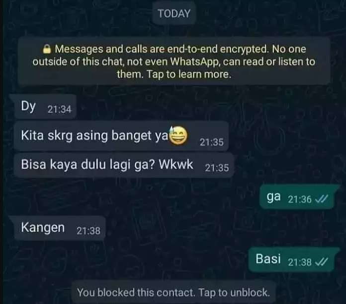 10 Chat WhatsApp Mantan Ajak Balikan, Endingnya Bikin Ngelus Dada!
