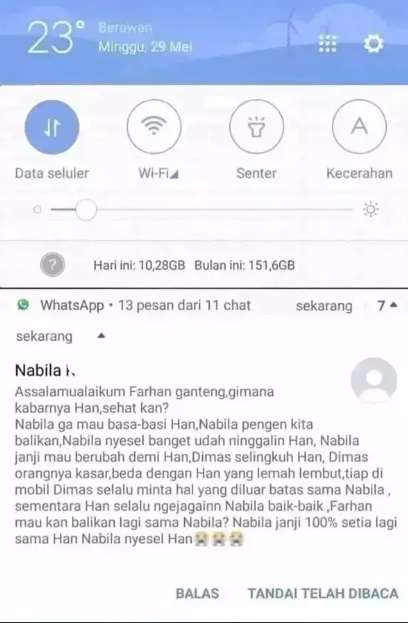 10 Chat WhatsApp Mantan Ajak Balikan, Endingnya Bikin Ngelus Dada!