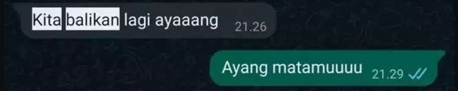 10 Chat WhatsApp Mantan Ajak Balikan, Endingnya Bikin Ngelus Dada!
