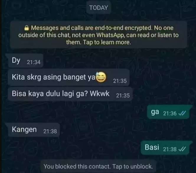 10 Chat WhatsApp Mantan Ajak Balikan, Endingnya Bikin Ngelus Dada!