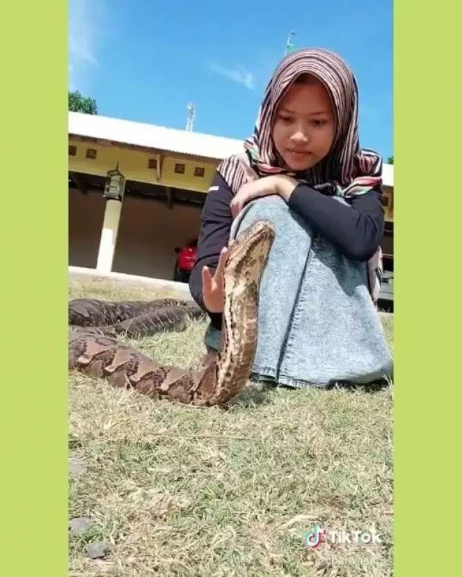 8 Potret Gadis Berhijab Asyik Bersahabat dengan Ular Raksasa, Pose-Posenya Bikin Ngilu!