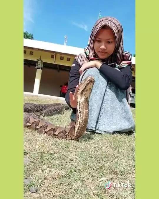 8 Potret Gadis Berhijab Asyik Bersahabat dengan Ular Raksasa, Pose-Posenya Bikin Ngilu!