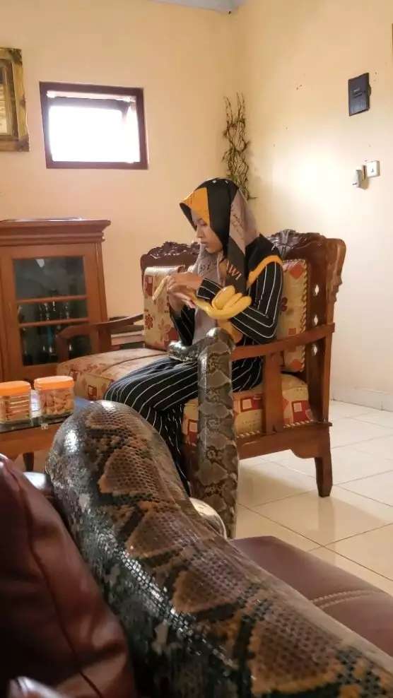 8 Potret Gadis Berhijab Asyik Bersahabat dengan Ular Raksasa, Pose-Posenya Bikin Ngilu!