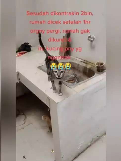 10 Potret Rumah Usai Dikontrak 2 Bulan, Sampah Menumpuk & Banyak Bangkai Tikus, Jorok Bikin Mual!