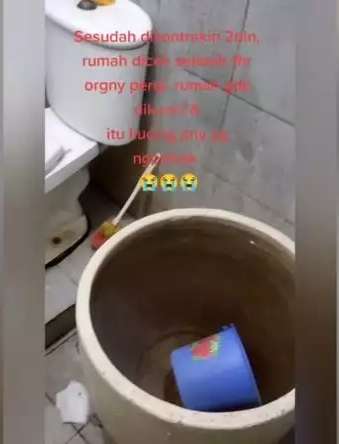 10 Potret Rumah Usai Dikontrak 2 Bulan, Sampah Menumpuk & Banyak Bangkai Tikus, Jorok Bikin Mual!