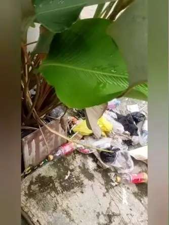10 Potret Rumah Usai Dikontrak 2 Bulan, Sampah Menumpuk & Banyak Bangkai Tikus, Jorok Bikin Mual!