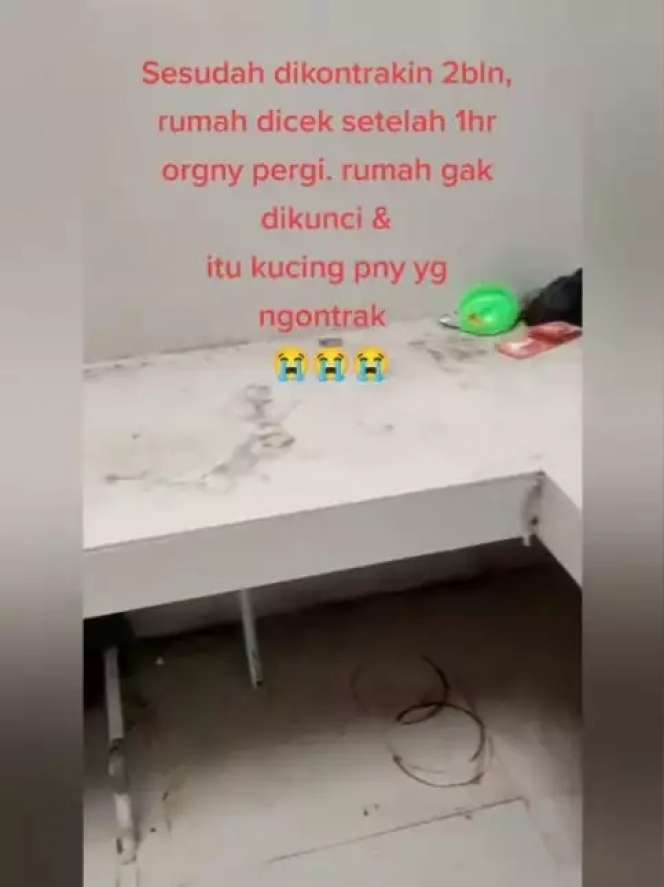 10 Potret Rumah Usai Dikontrak 2 Bulan, Sampah Menumpuk & Banyak Bangkai Tikus, Jorok Bikin Mual!