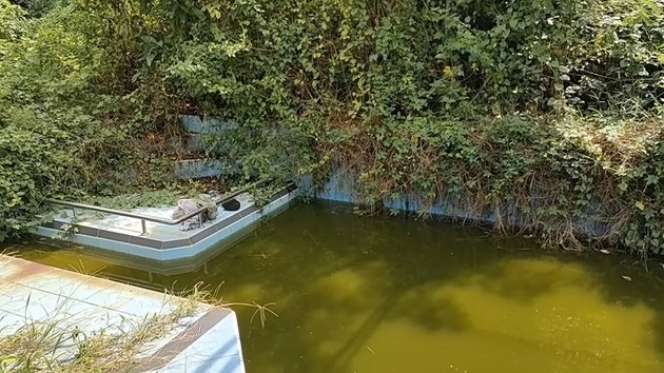 Potret Rumah Mewah Terbengkalai Milik Artis Ayu Lestari, 15 Tahun Tak Berpenghuni Kini Penampakannya Bikin Merinding!