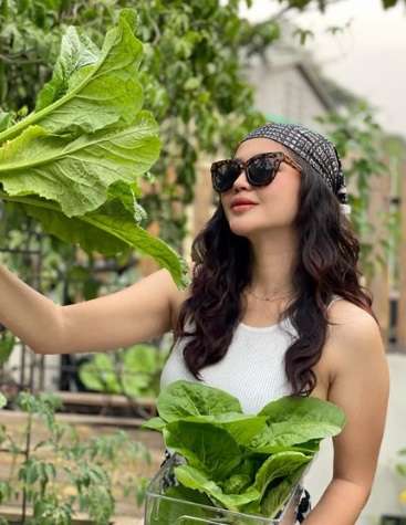 Potret Kebun Mini Young Lex di Rumah, Ternyata Hasil Hobi Sang Istri!