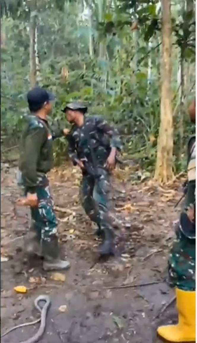 Potret Prajurit TNI Takut Pegang Ular, Endingnya Bikin Ngakak!