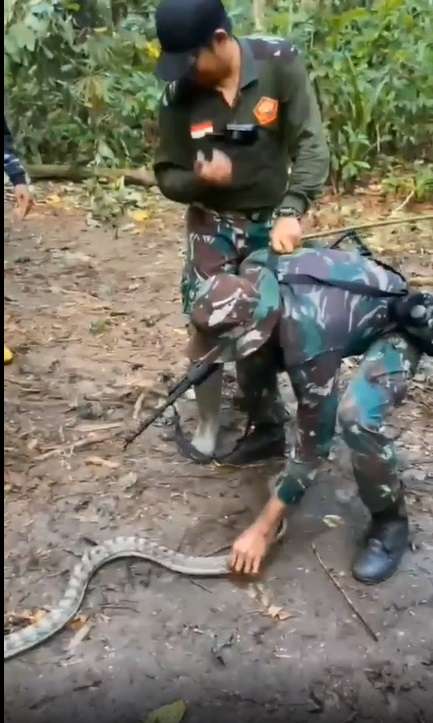 Potret Prajurit TNI Takut Pegang Ular, Endingnya Bikin Ngakak!
