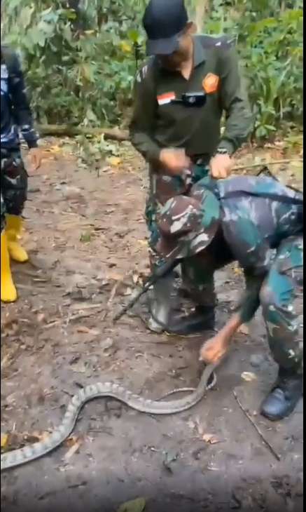Potret Prajurit TNI Takut Pegang Ular, Endingnya Bikin Ngakak!