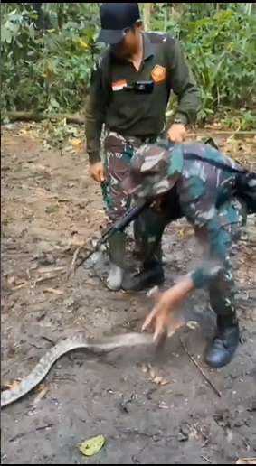 Potret Prajurit TNI Takut Pegang Ular, Endingnya Bikin Ngakak!