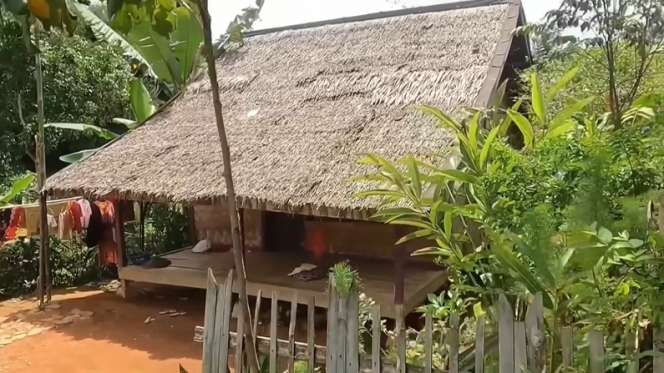10 Potret Rumah Panggung `Anti Sombong`, Luar Berdinding Kayu & Atap Daun Kering, Dalamnya Bikin Takjub!