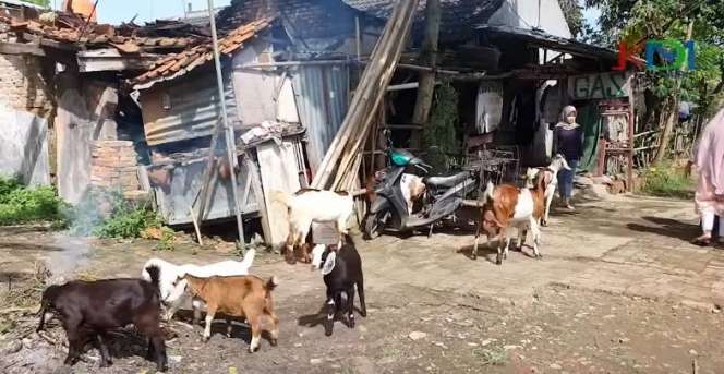 Penampakan Rumah Yessi Wanita yang Gagal Nikah H-3, Minta Mahar Sertifikat Rumah