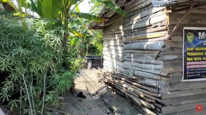 Potret Rumah Sridevi Juara D`Academy 5 di Kampung Halaman, Hanya Berdinding Kayu, Jauh Dari Kesan Mewah!