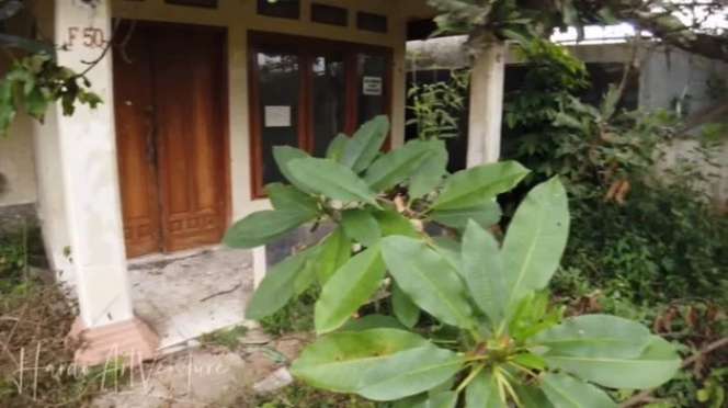 Potret Kondisi Rumah Mendiang Alda Risma, Terbengkalai Tak Terawat