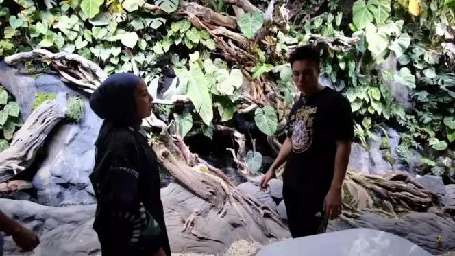 10 Potret Kantor Mewah Baim Wong Hasil Renovasi Rumah Kosong 15 Tahun, Ada Air Terjunnya, Keren Abis!