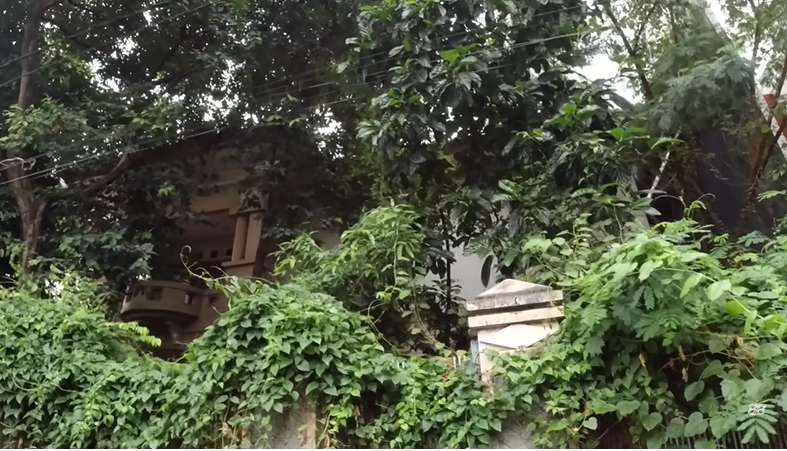 Selama 11 Tahun, Viral Anak Rawat Ibunya yang ODGJ di Rumah Mewah Terbengkalai Tanpa Listrik, Lihat 10 Potretnya Ngeri Banget!